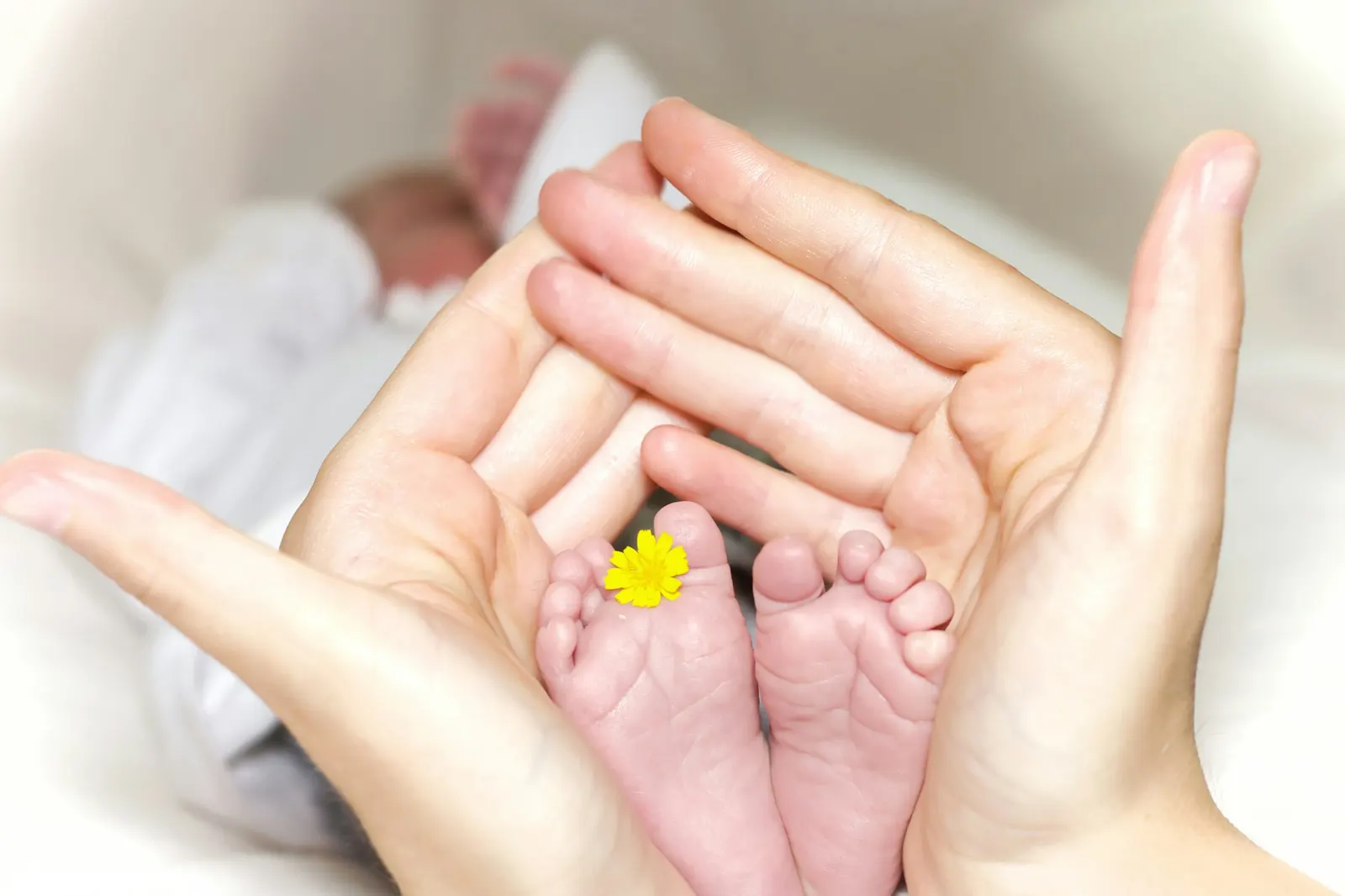 Des mains d'adulte entourent délicatement les pieds d'un nouveau-né.
